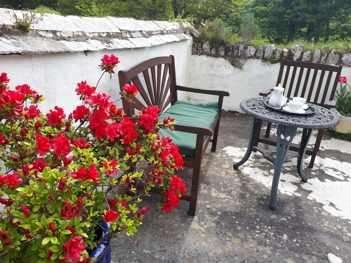 Score Valley Country House Ilfracombe Exterior foto